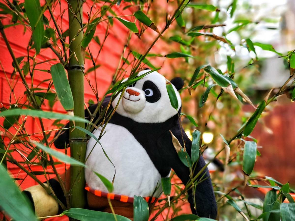 Twin Panda Guesthouse سيول المظهر الخارجي الصورة