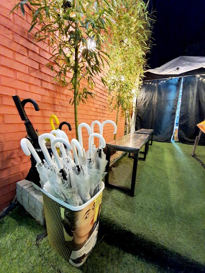 Twin Panda Guesthouse سيول المظهر الخارجي الصورة